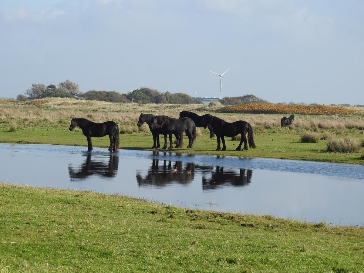 De Hut, In Natuurgebied En Vlakbij Het Strand Callantsoog Esterno foto